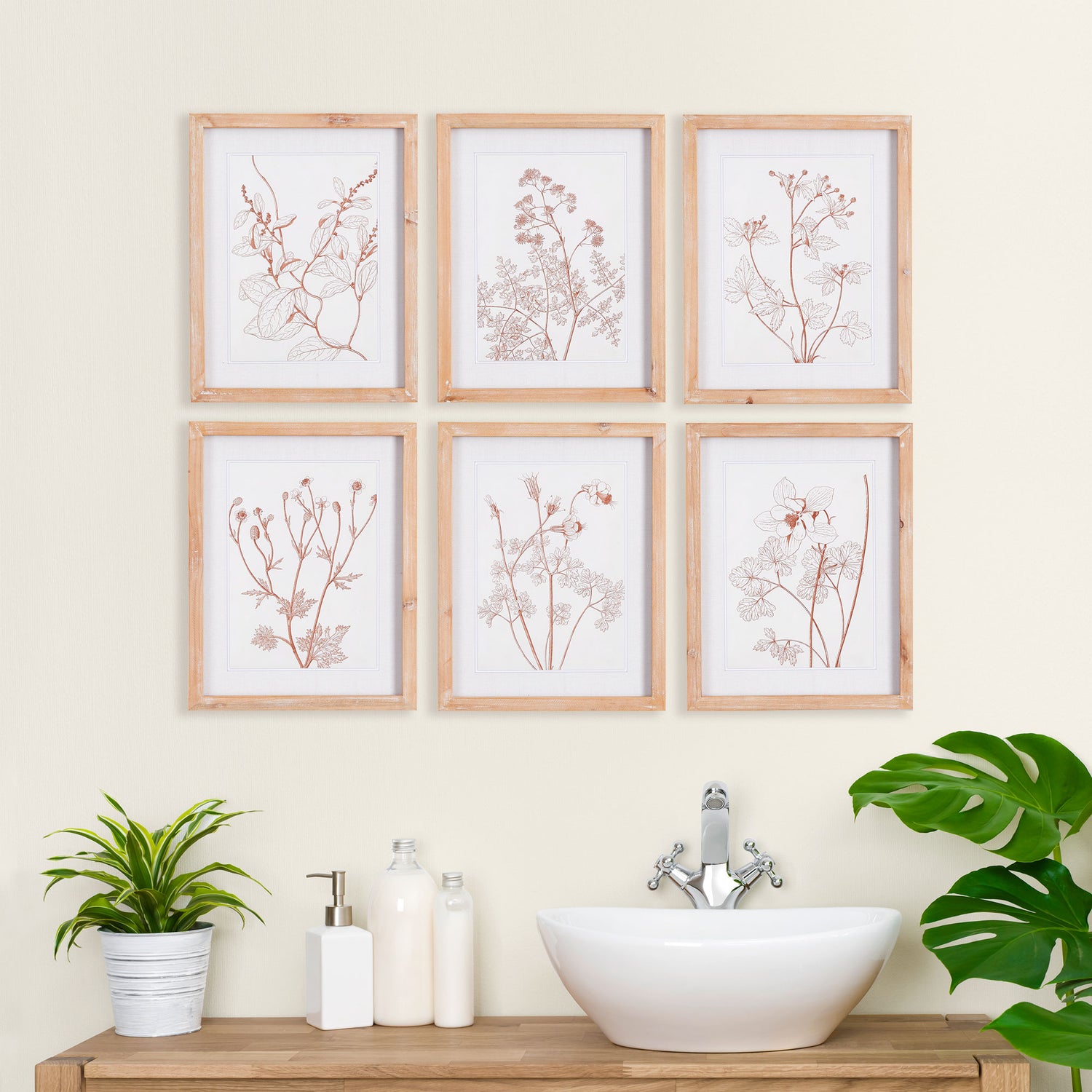 Botanicals In Blush Prints, Set Of 6