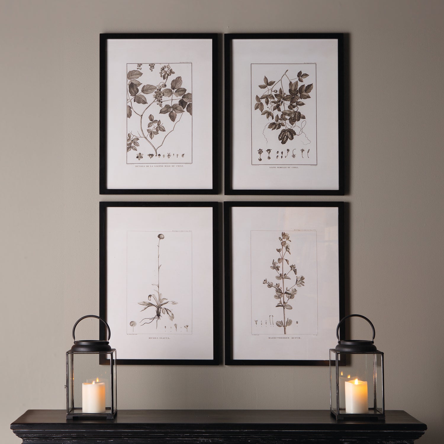 Framed Sepia-Tone Botanical Prints, Set Of 4