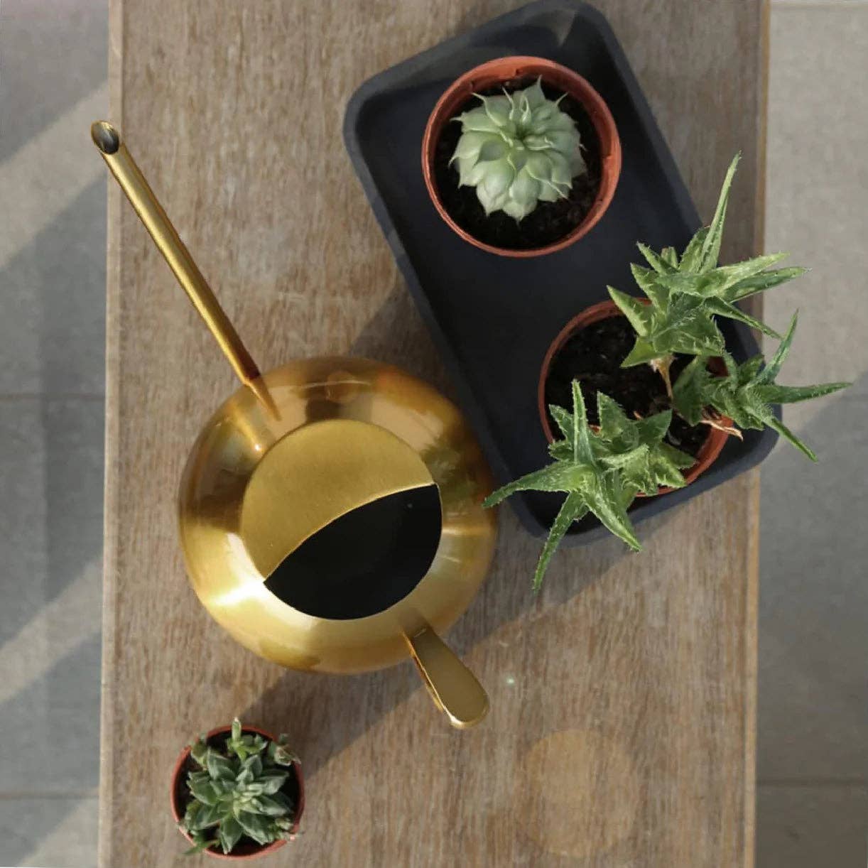 Minimalist Plant Watering Can: Gold