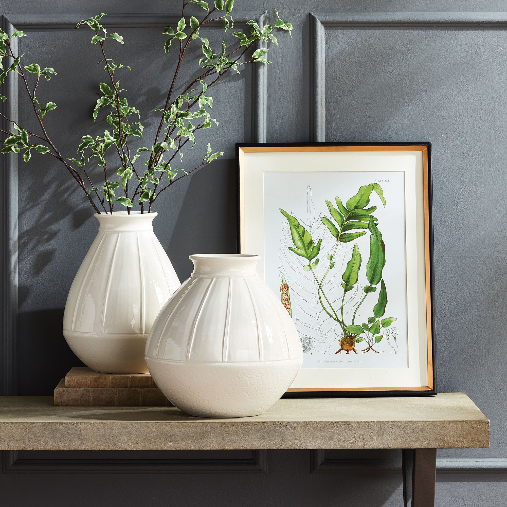 STRUCTURAL FERN STUDY, SET OF 4