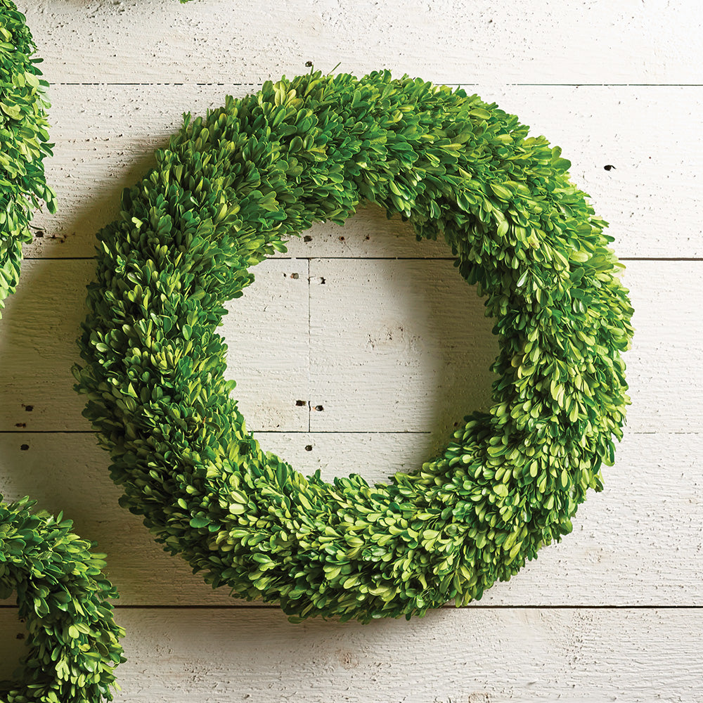 Boxwood Wreath 24"