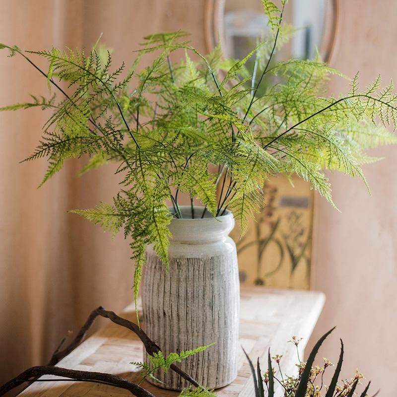 Asparagus Fern Plant Stem 32" Tall