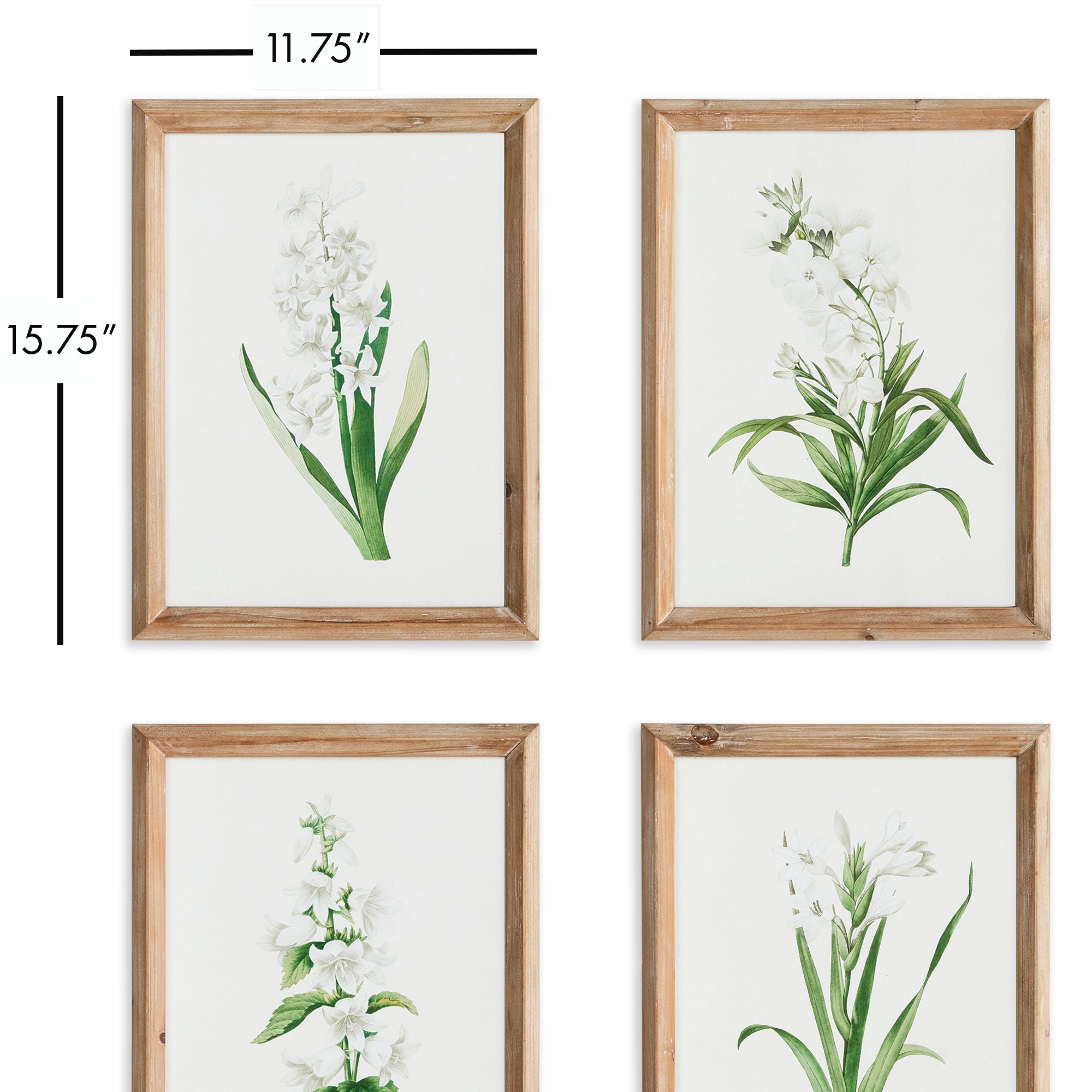 GARDEN BLOOM PRINTS, SET OF 4