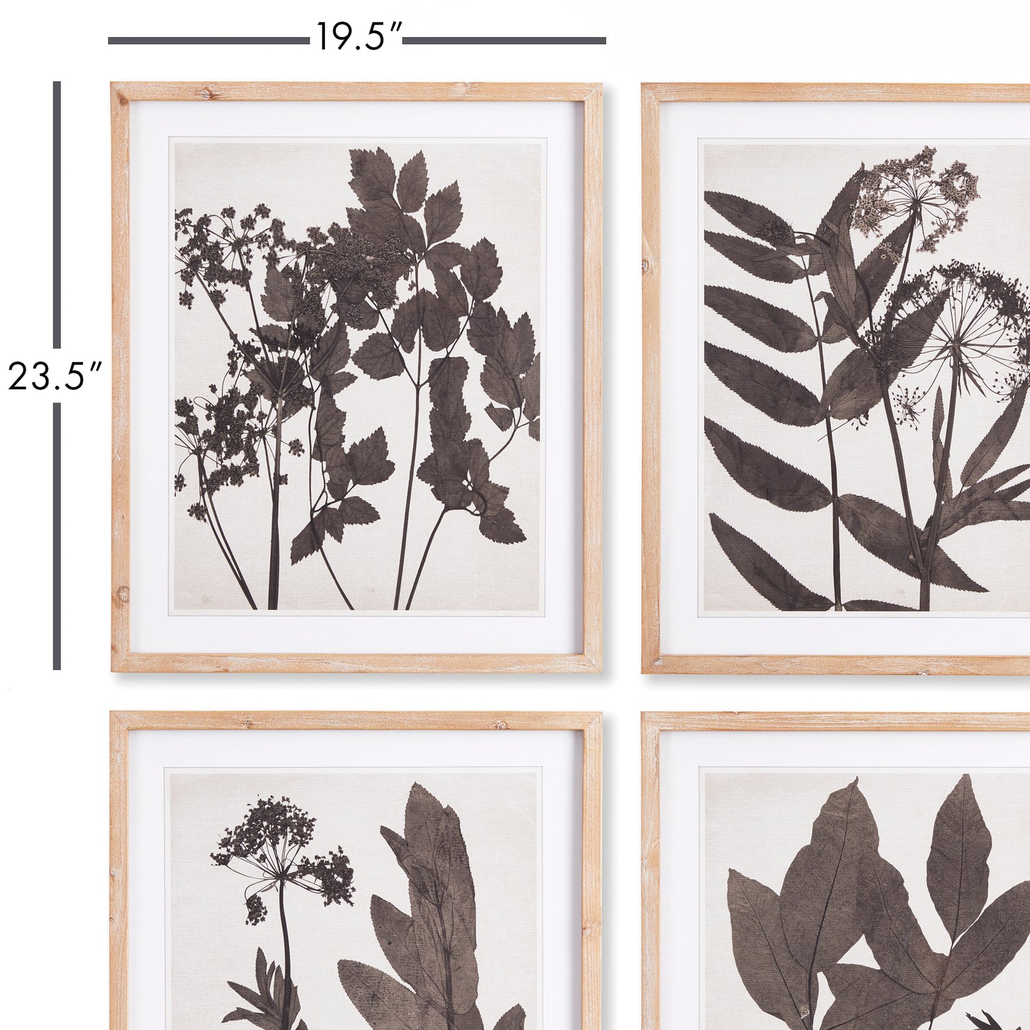 Pressed Foliage Prints, Set Of 4