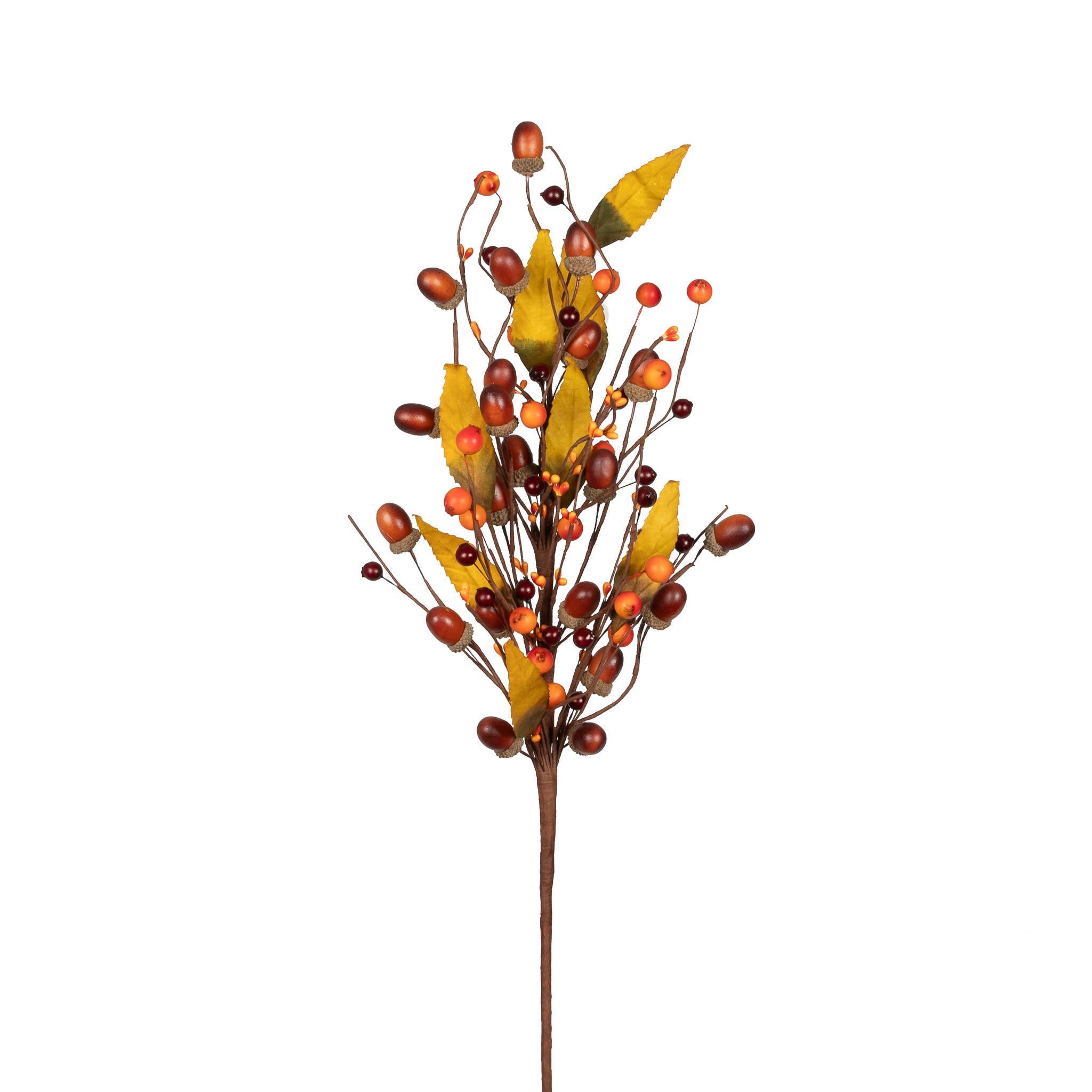 Acorn Harvest Stem - 22 Inch