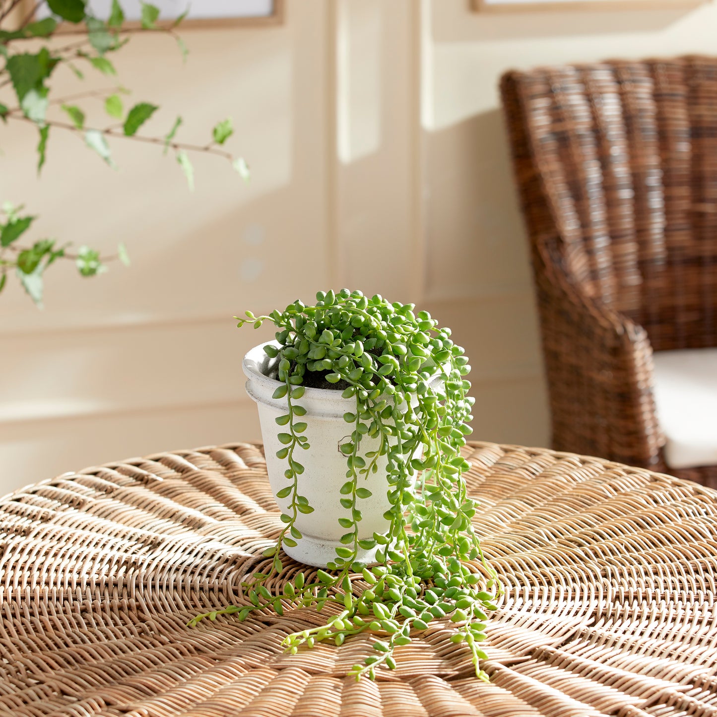 STRING OF PEARLS DROP-IN 26"