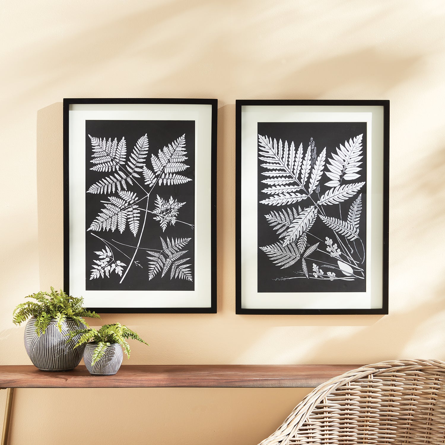 DISCONTINUED Assorted Fern Study, Set Of 2