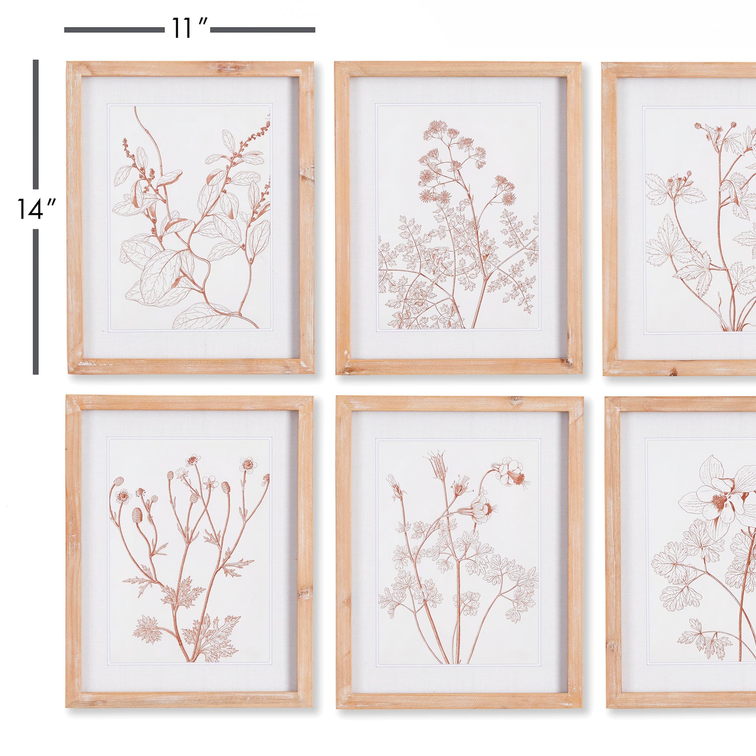 Botanicals In Blush Prints, Set Of 6