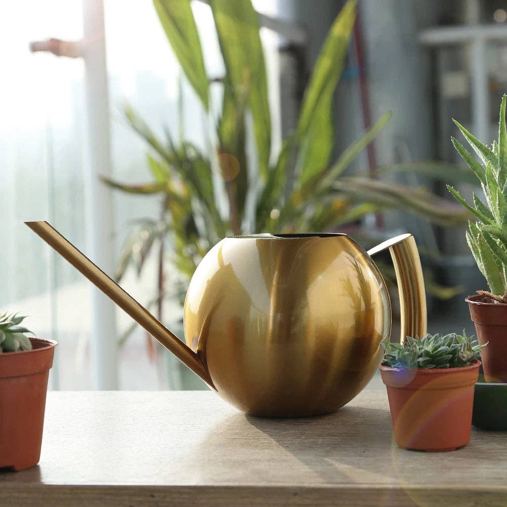 Minimalist Plant Watering Can: Silver