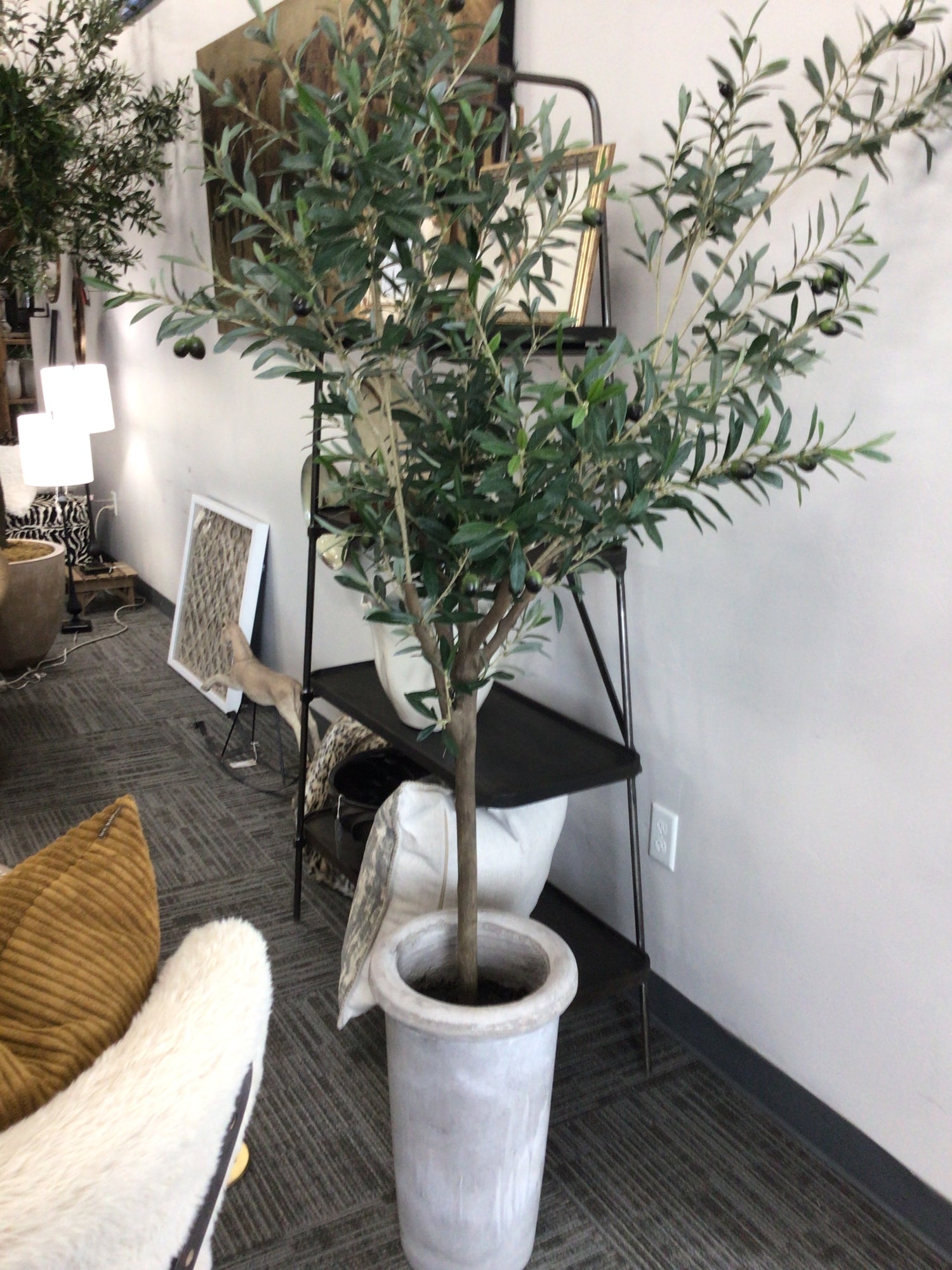 72" Olive Tree in Cement Pot