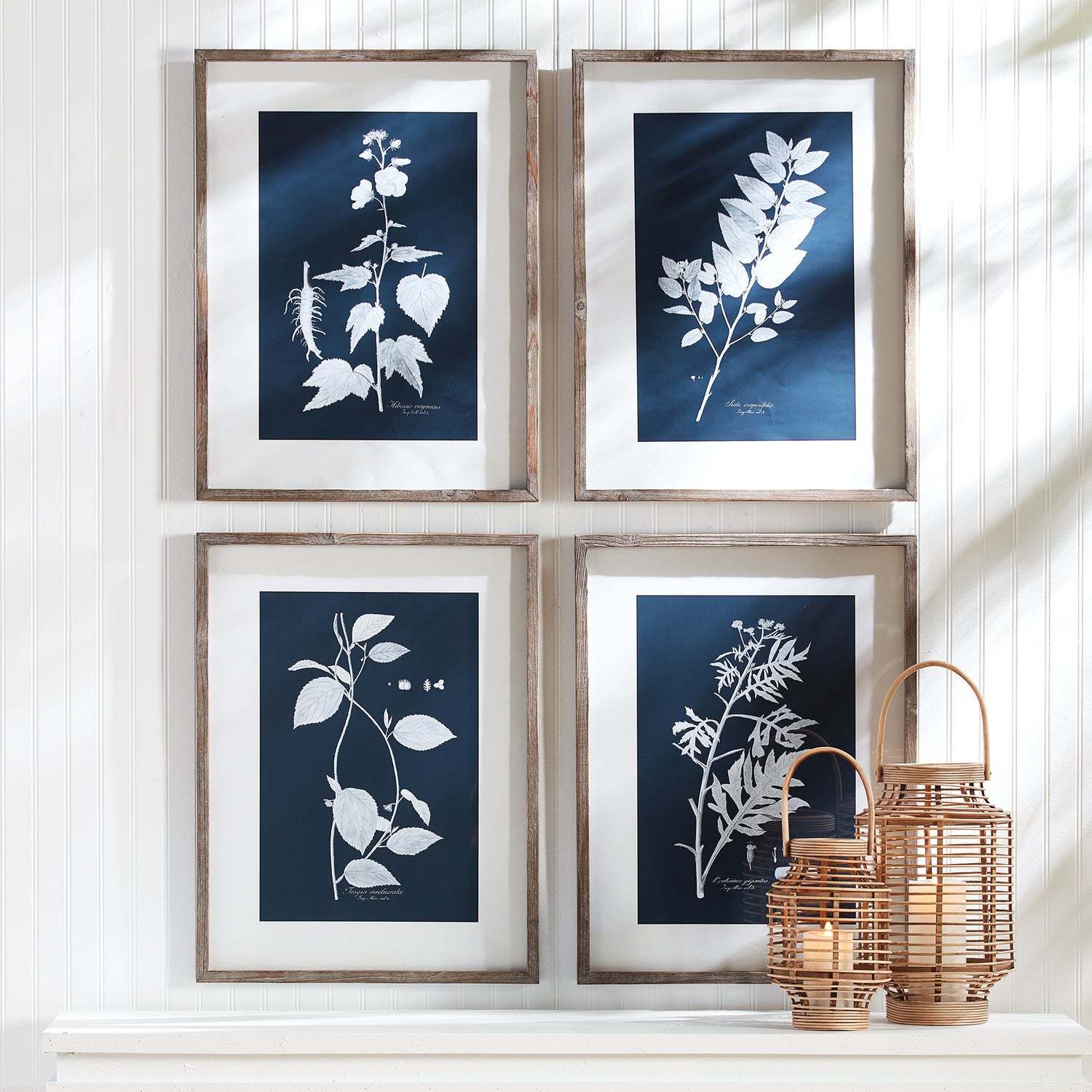 Cyano Botanical Leaf Study, Set Of 4