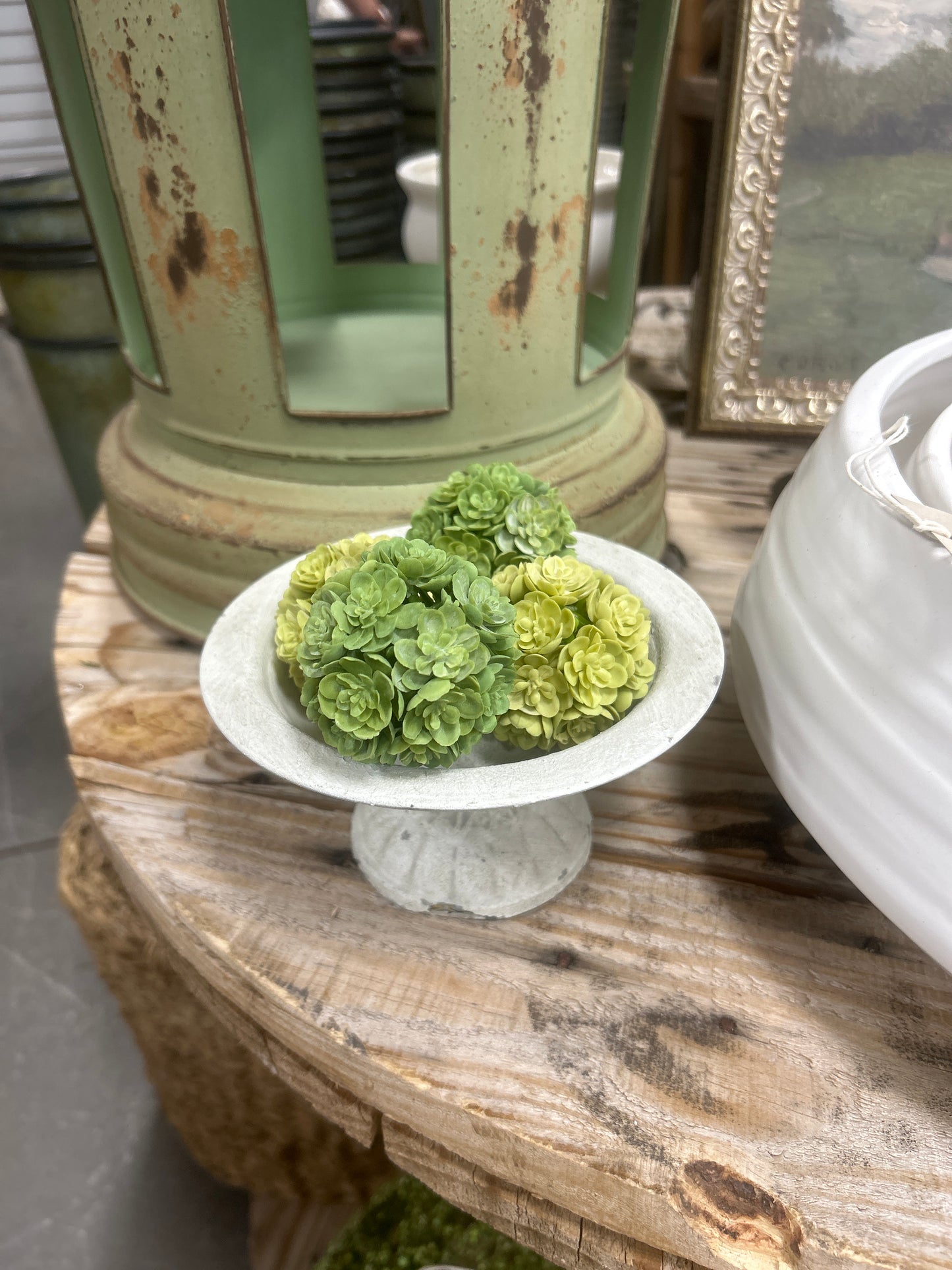 2” Sedum Orb