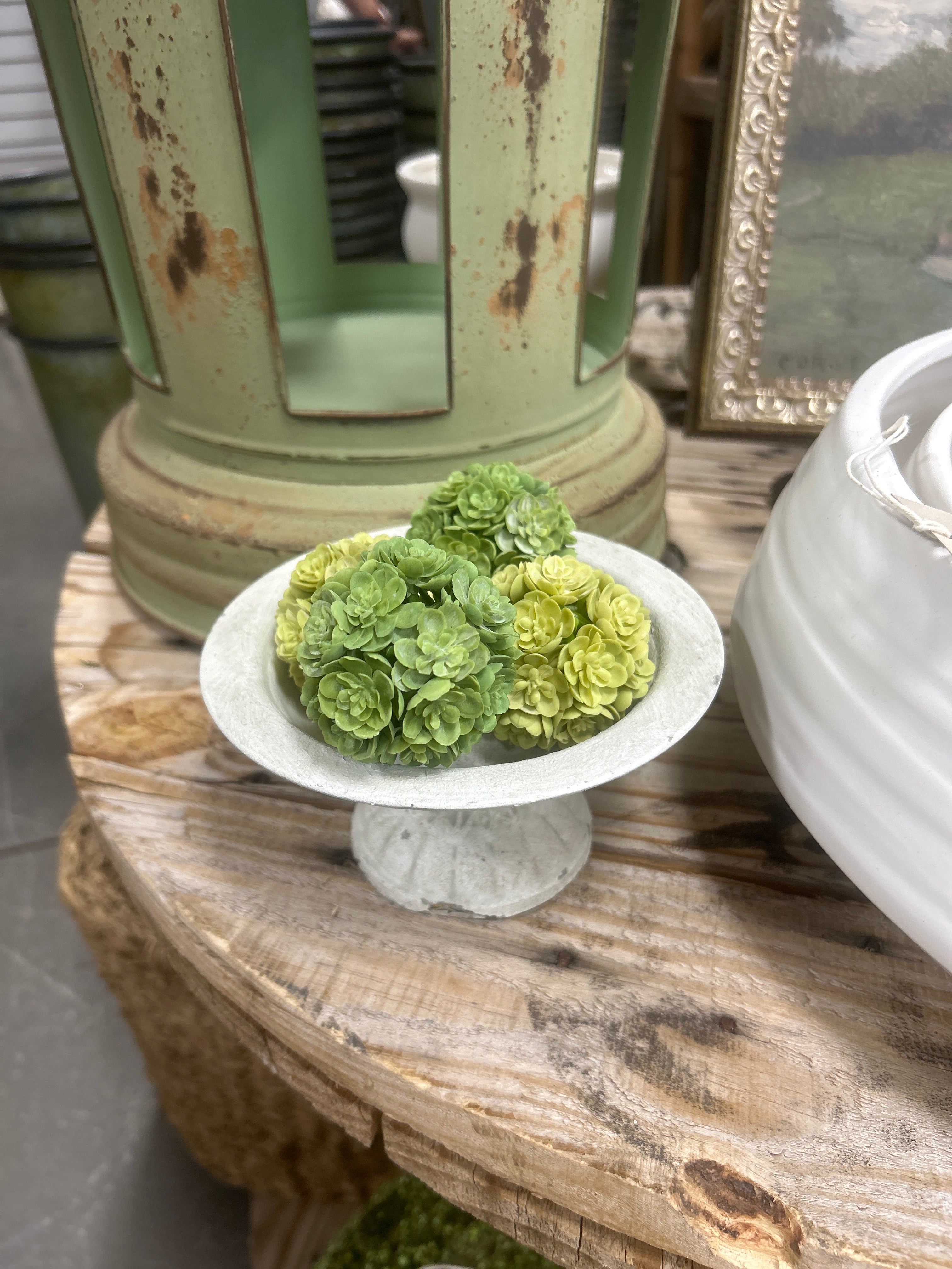 2” Sedum Orb