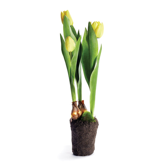 TULIP DROP-IN 18"