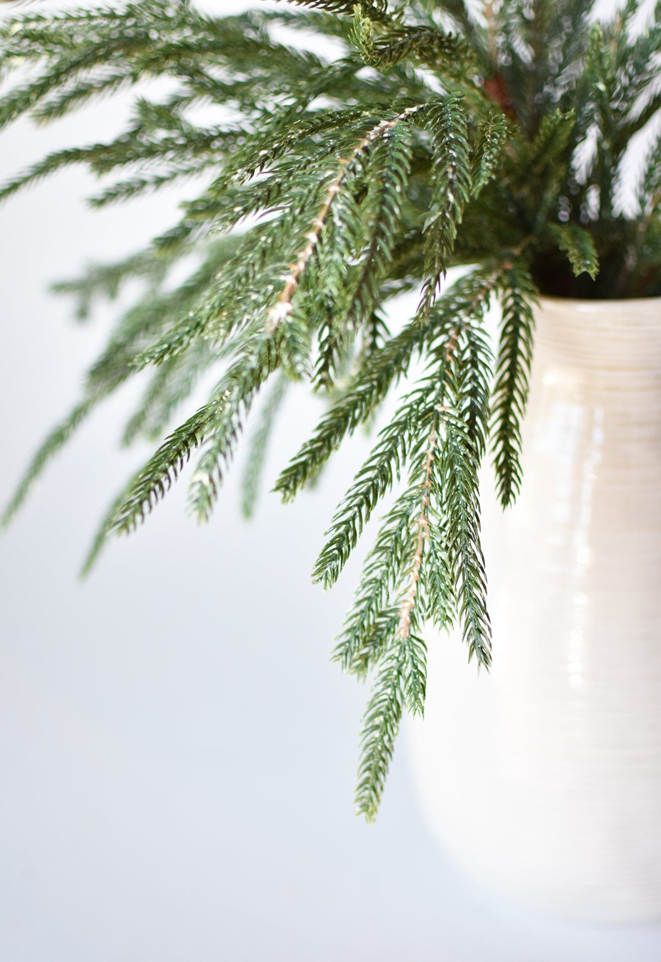 20" Faux Whitewash Green Norfolk Pine Spray Bush