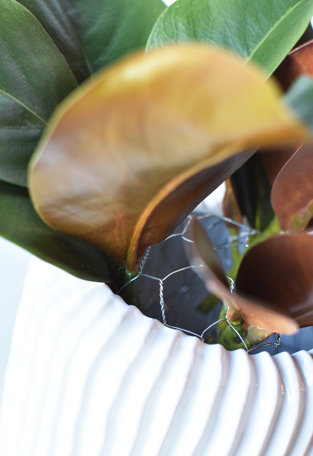 12" x 24" Chicken Wire Net