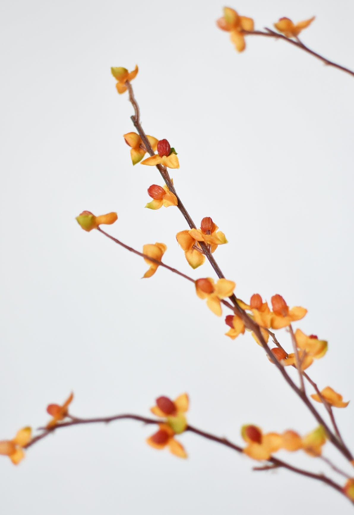 32" Faux Bittersweet Stem