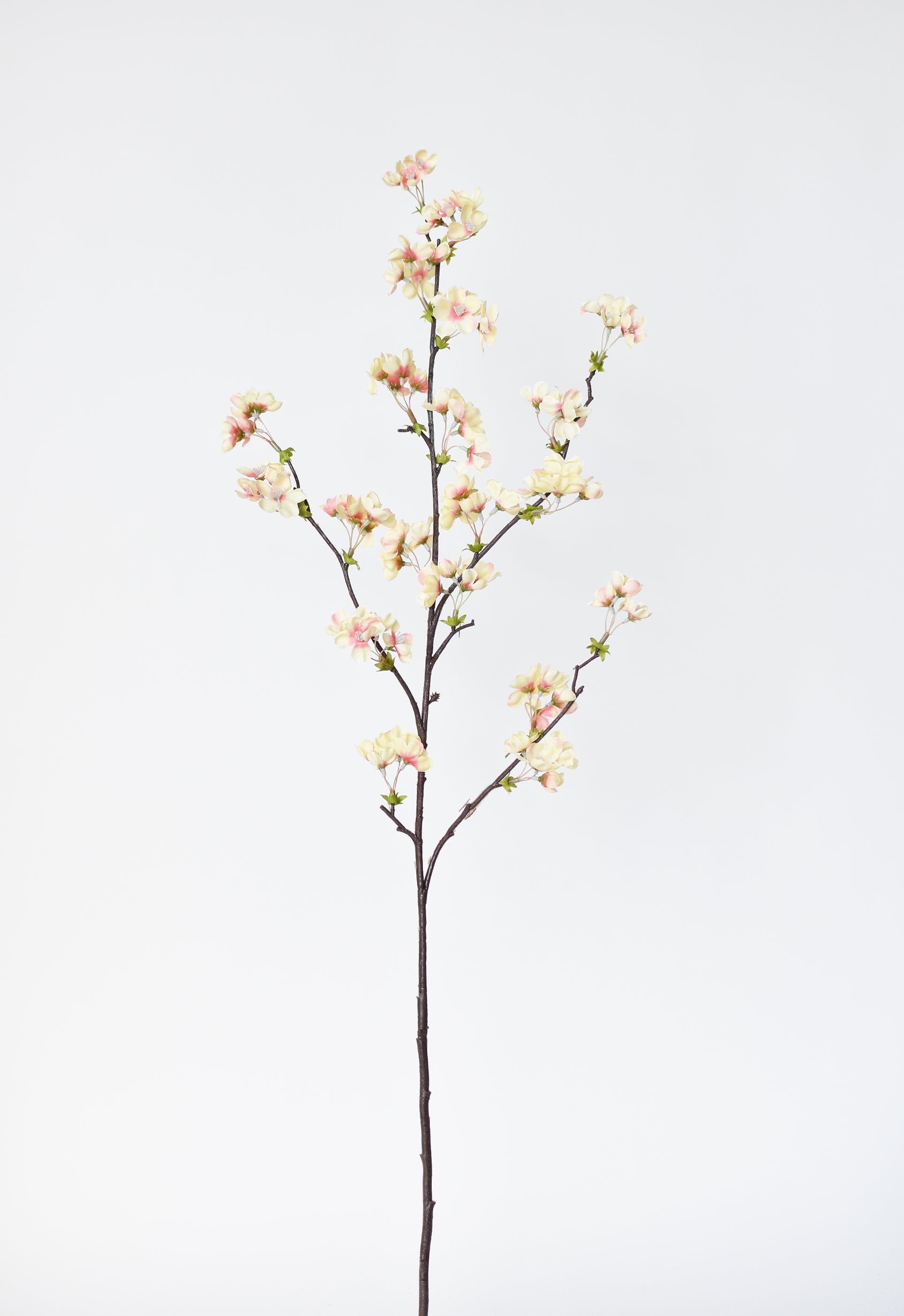 36" Faux Quince Blossom Apricot Cream Stem Flowering Branch