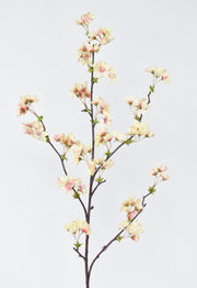 36" Faux Quince Blossom Apricot Cream Stem Flowering Branch