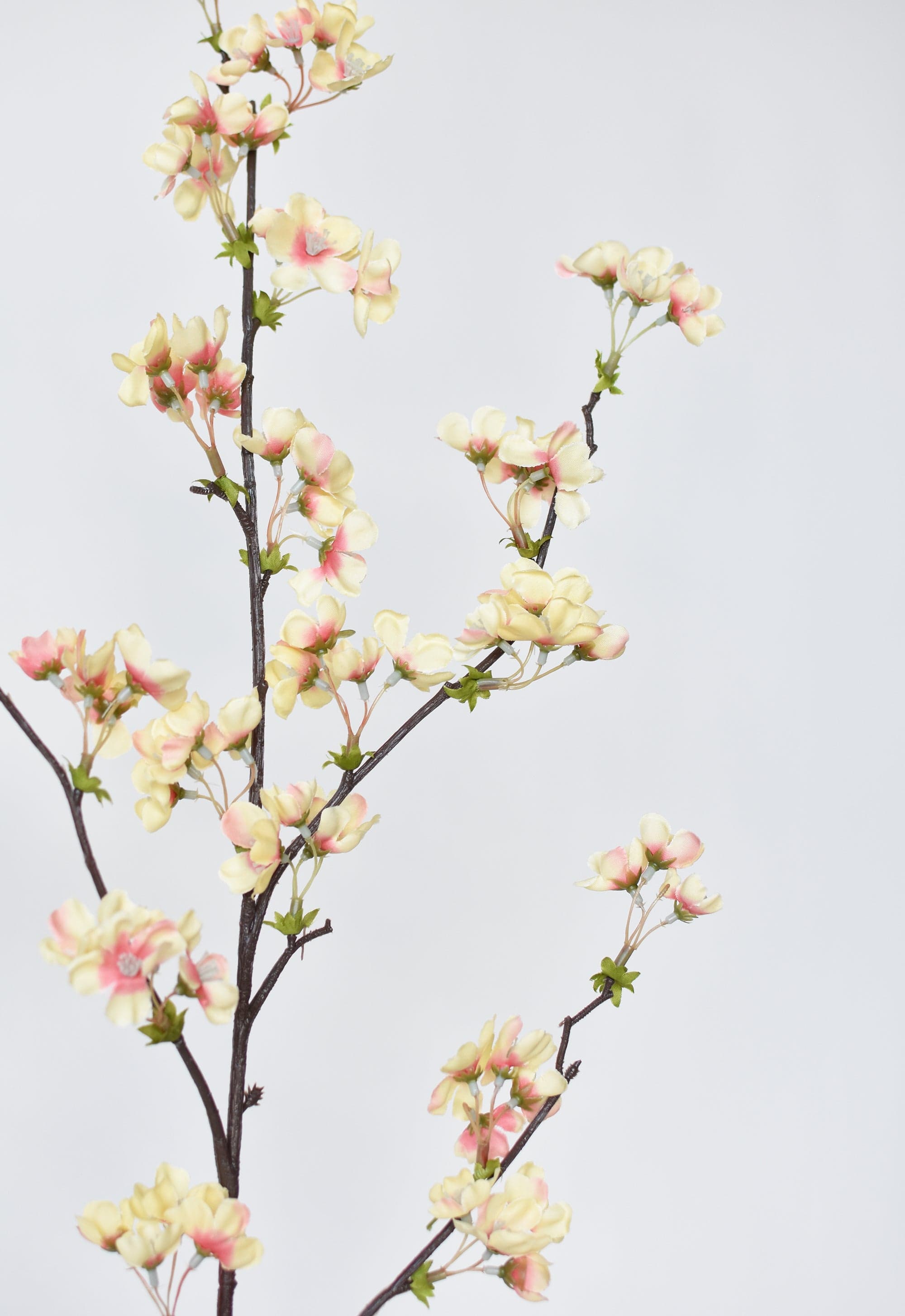 36" Faux Quince Blossom Apricot Cream Stem Flowering Branch