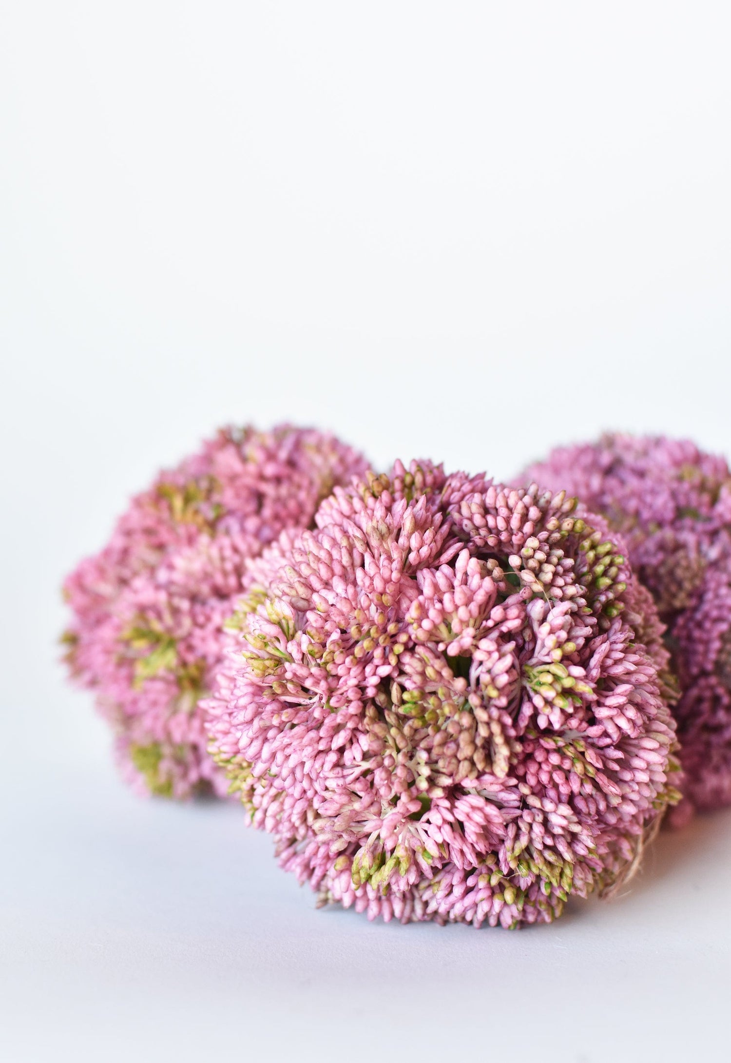 4" Faux Mauve Sedum Ball