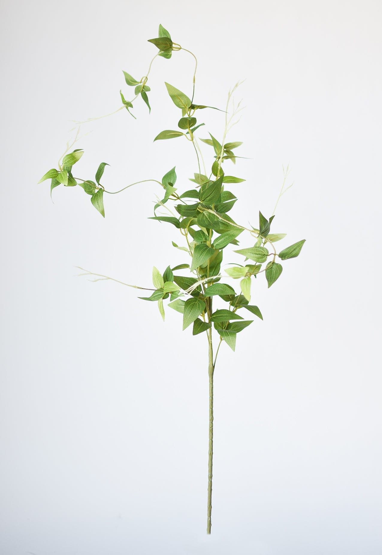 40" Faux Green Clematis Vine Stem