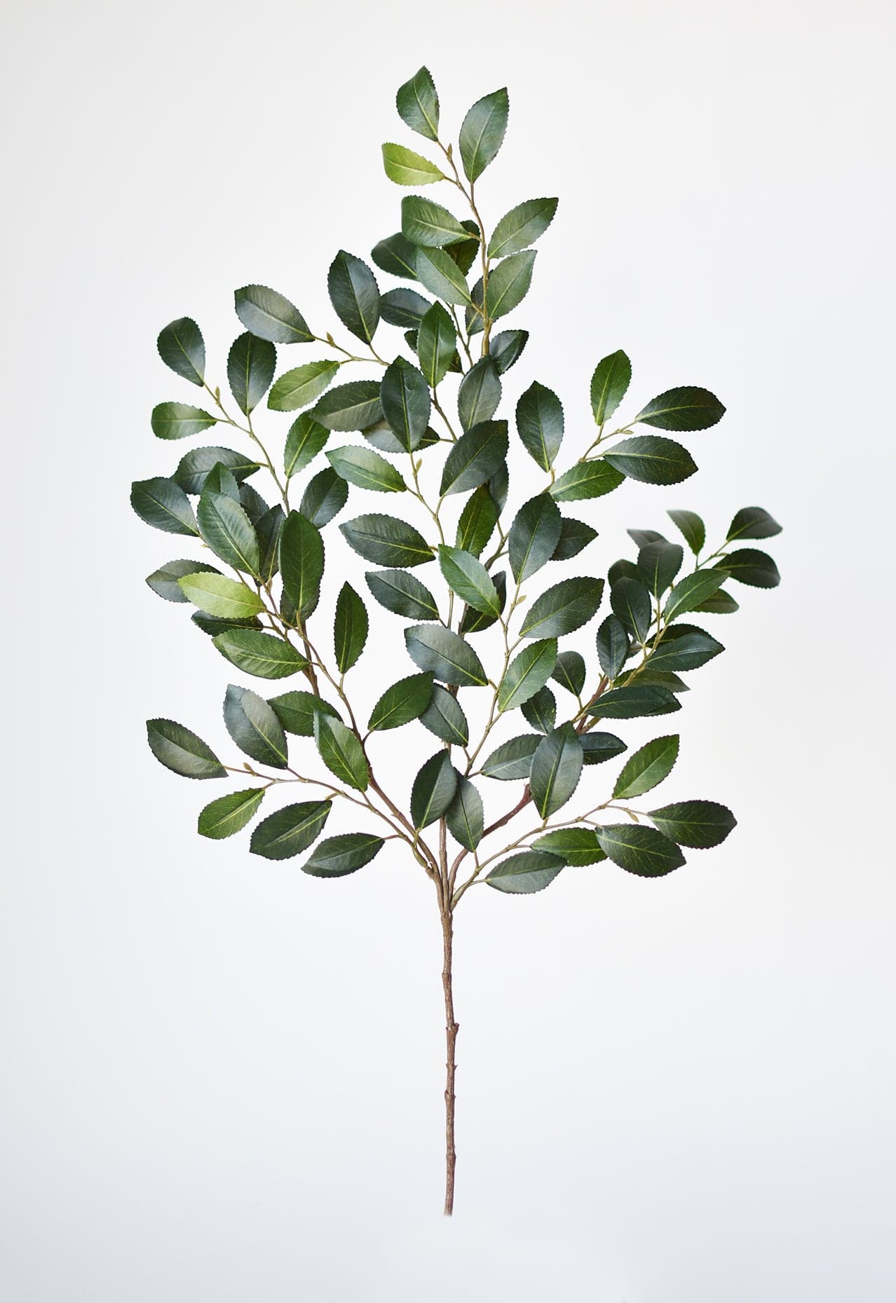 26" Faux Ruscus Leaf Stem