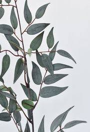 36" Faux Dark Green/Gray Ruscus Leaf Stem