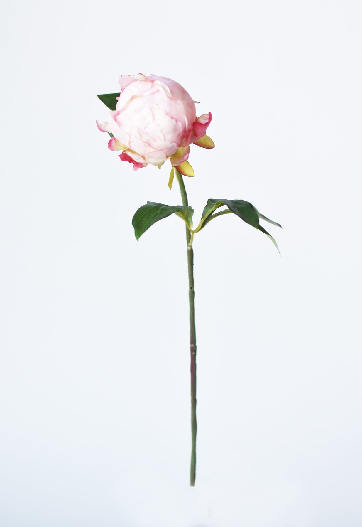 18" Faux Peony Bud Stem Light Pink