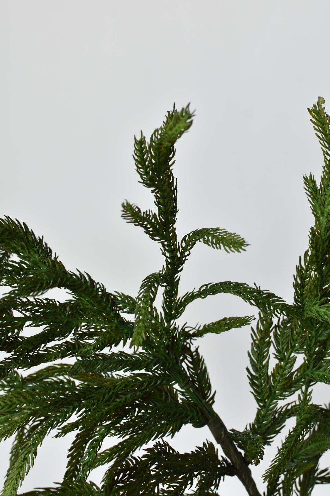 36" RealTouch Norfolk Pine Spray Stem