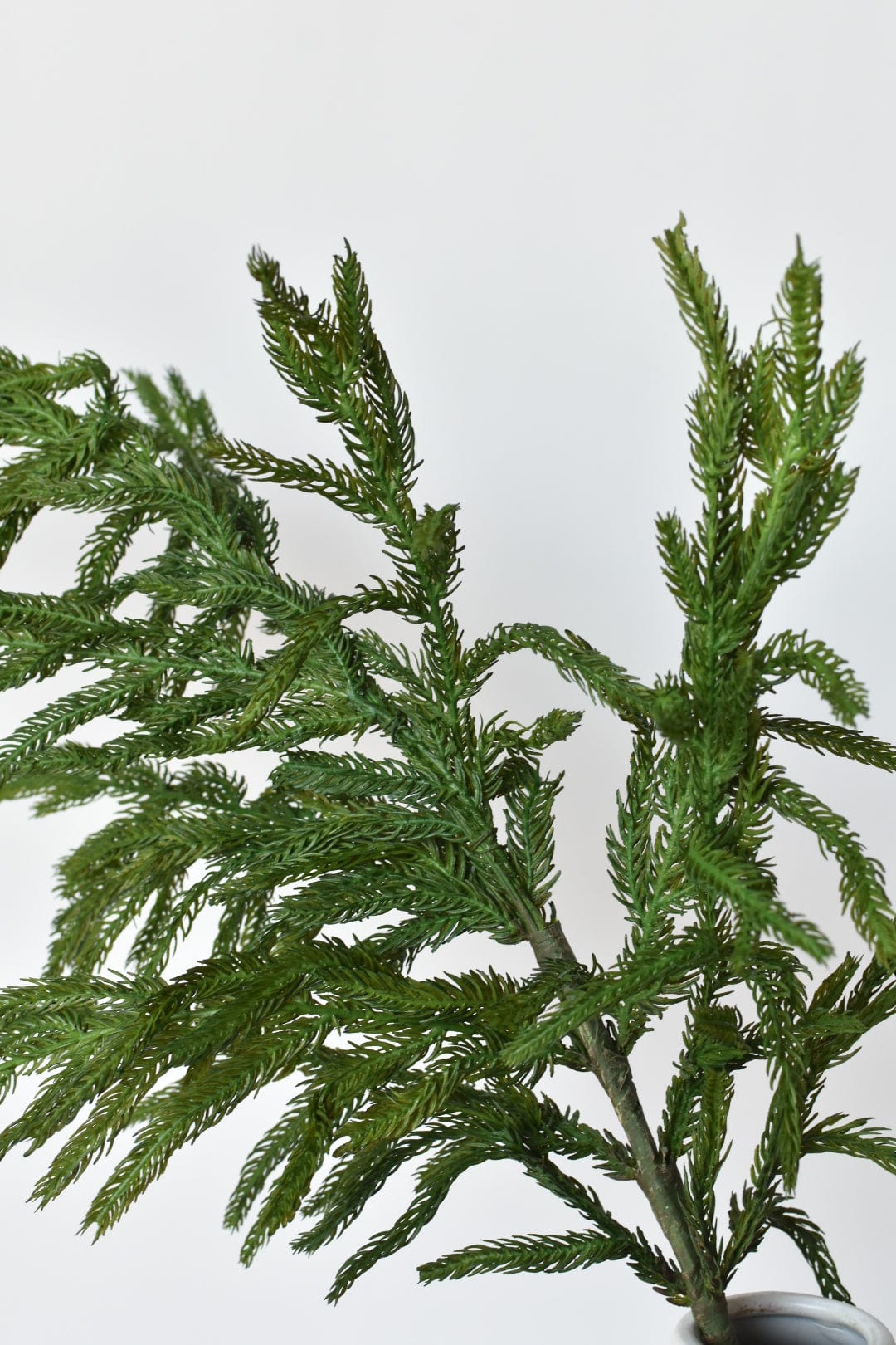 36" RealTouch Norfolk Pine Spray Stem