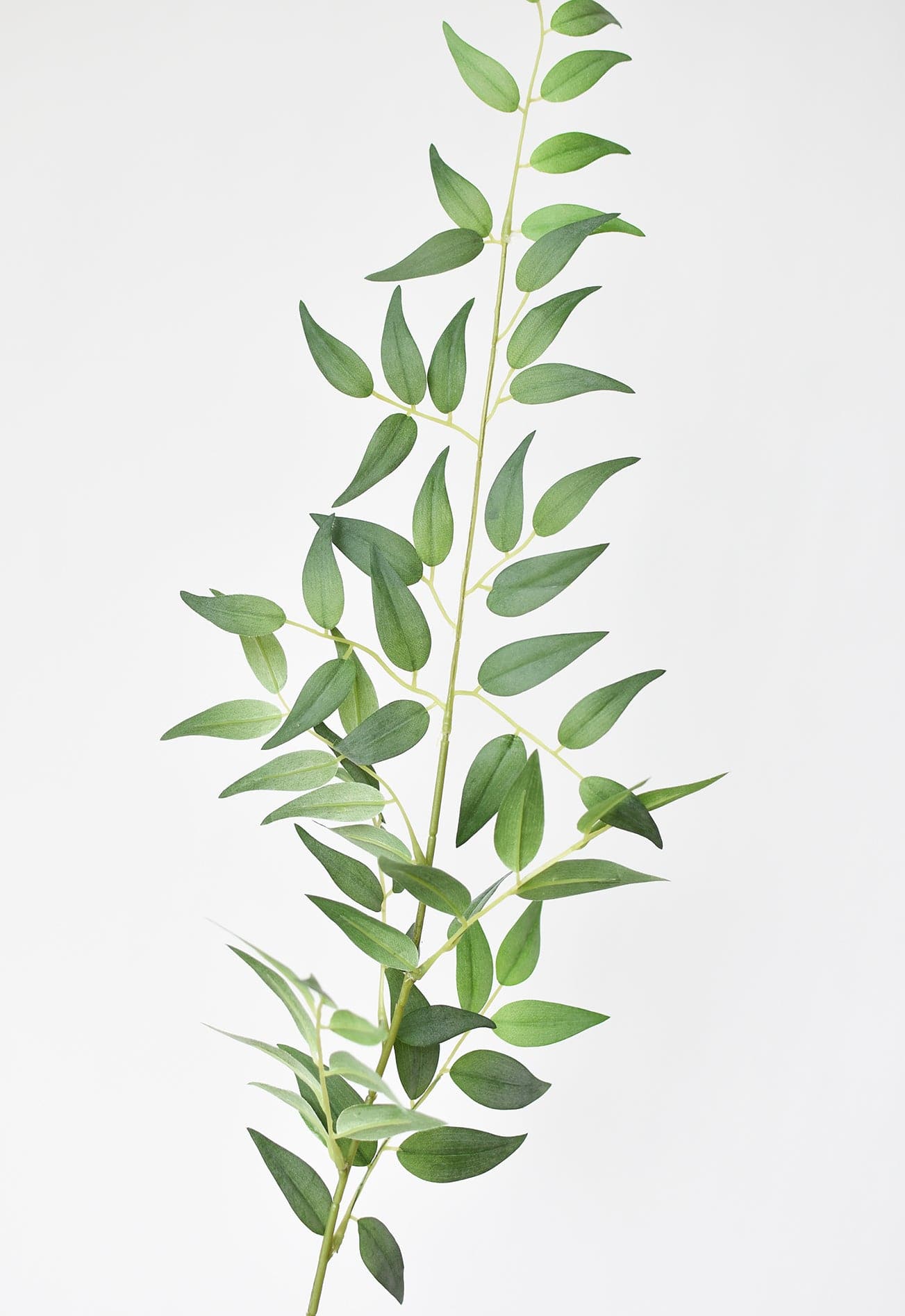 36" Faux Italian Ruscus Stem