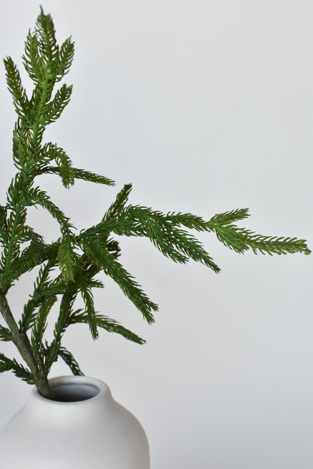 36" RealTouch Norfolk Pine Spray Stem