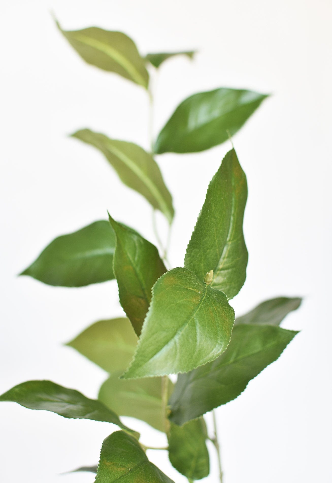 36" Faux Lemon Leaf Branch Stem