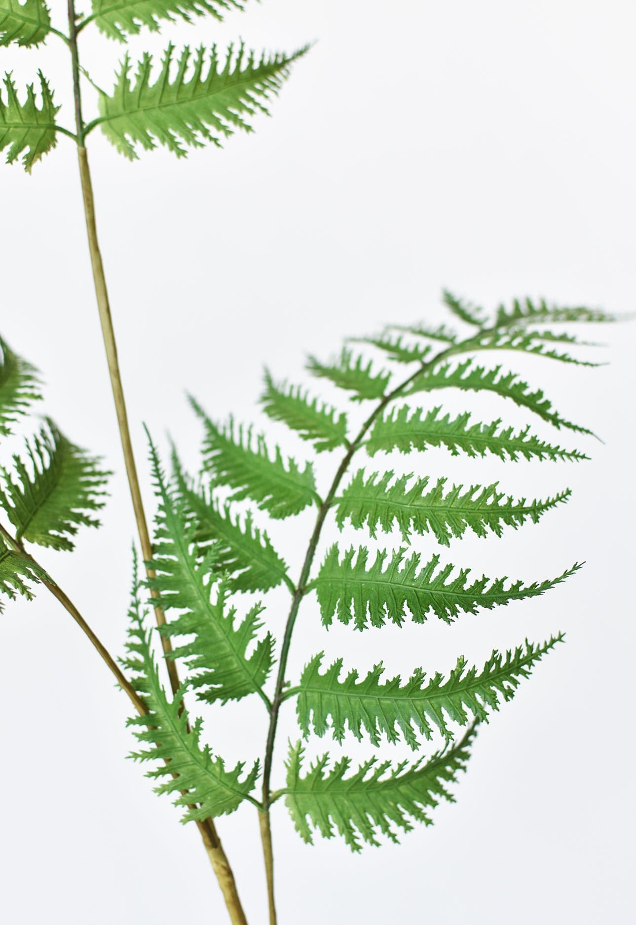 33" Faux Forest Fern Spray
