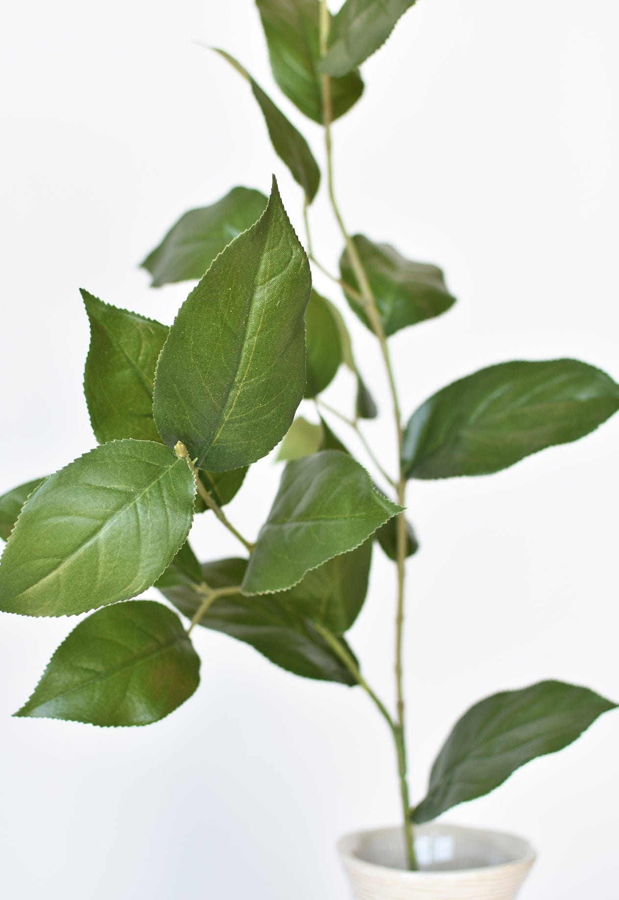 36" Faux Lemon Leaf Branch Stem