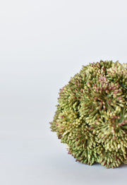 4" Faux Green Sedum Ball