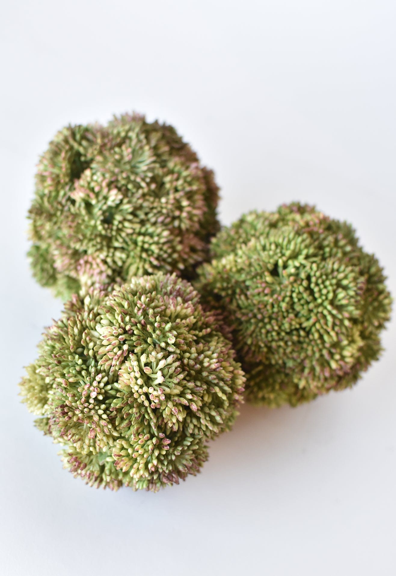 4" Faux Green Sedum Ball