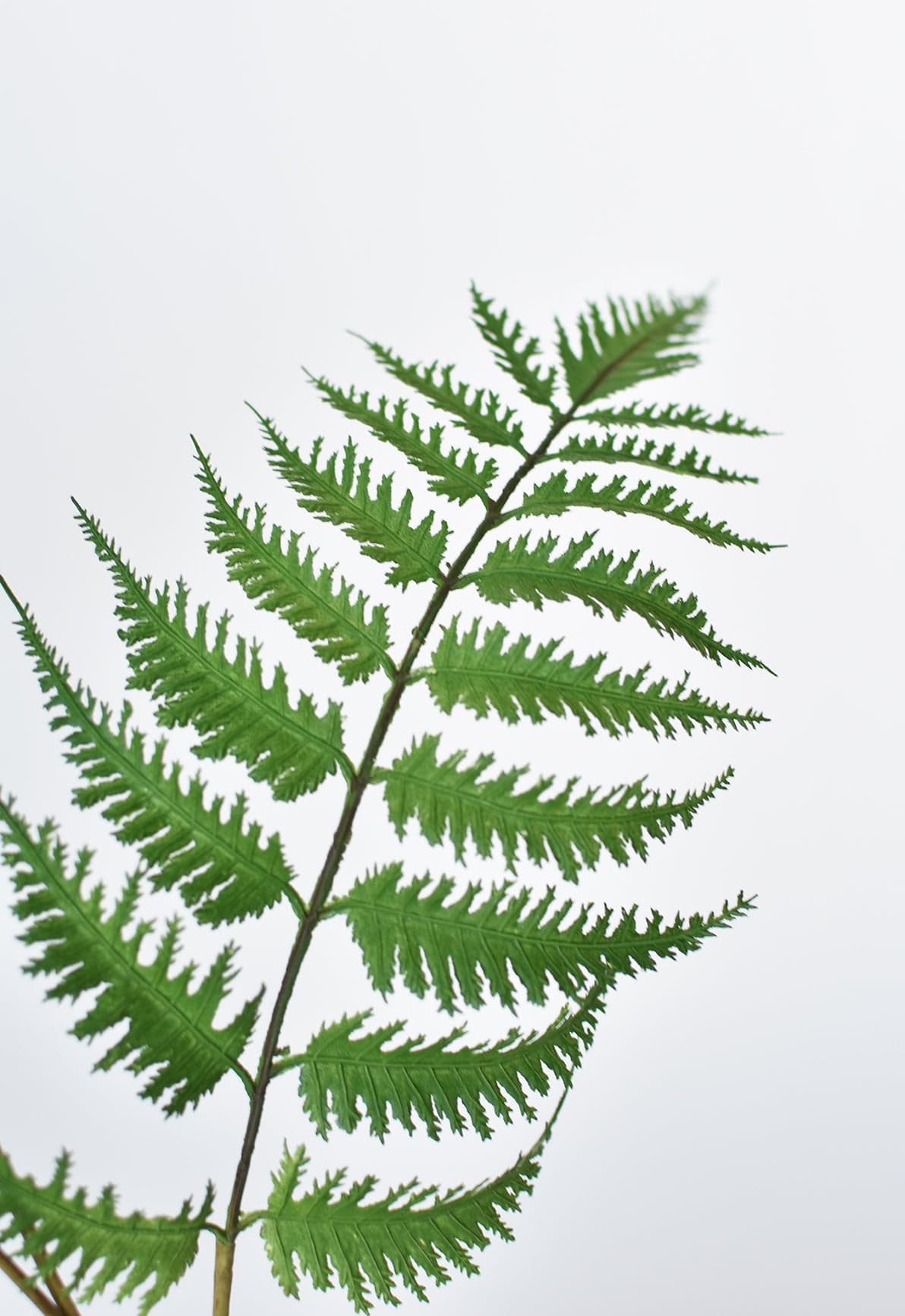 33" Faux Forest Fern Spray