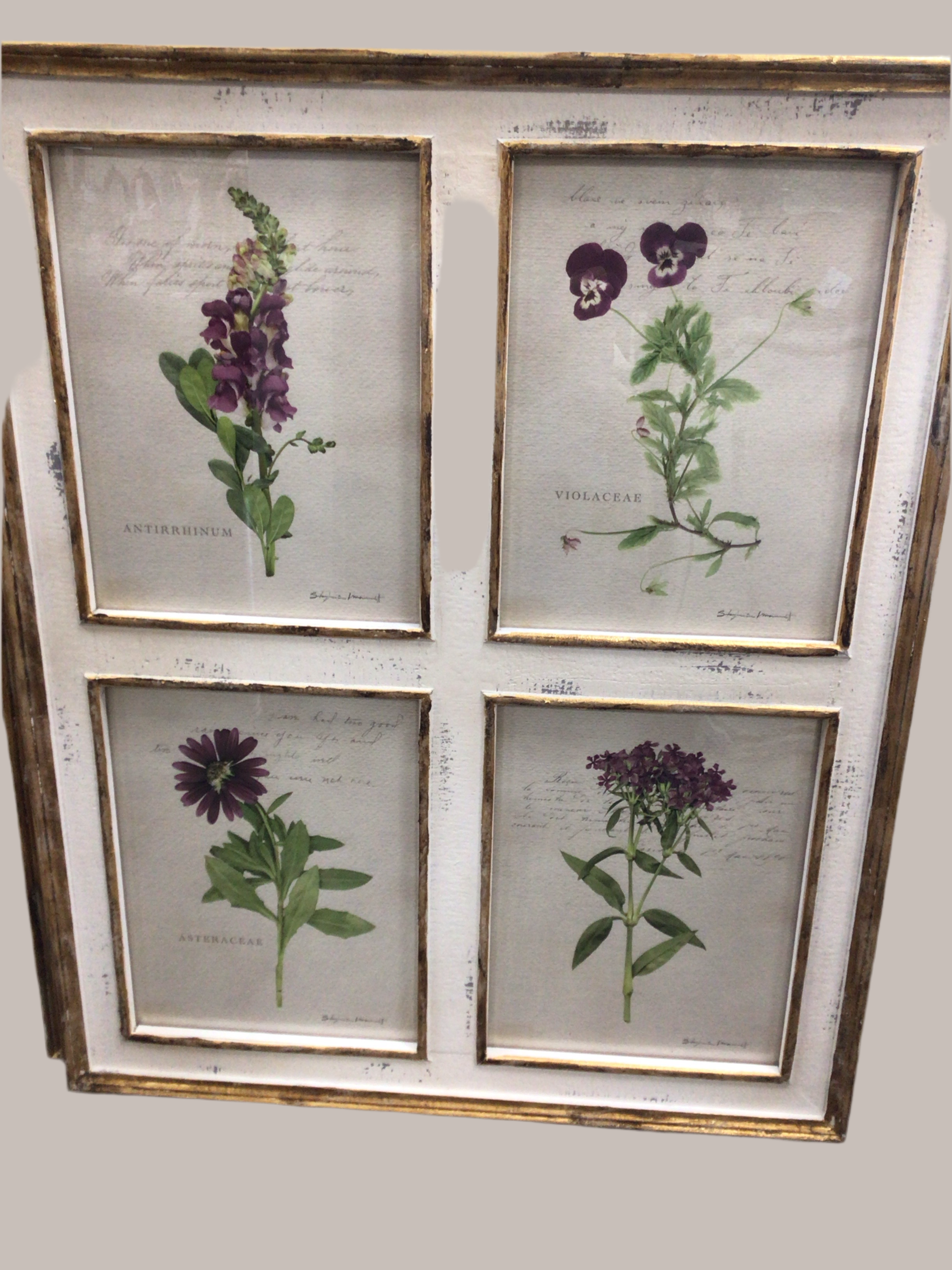 Botanical Floral Framed Wall Art - 32"