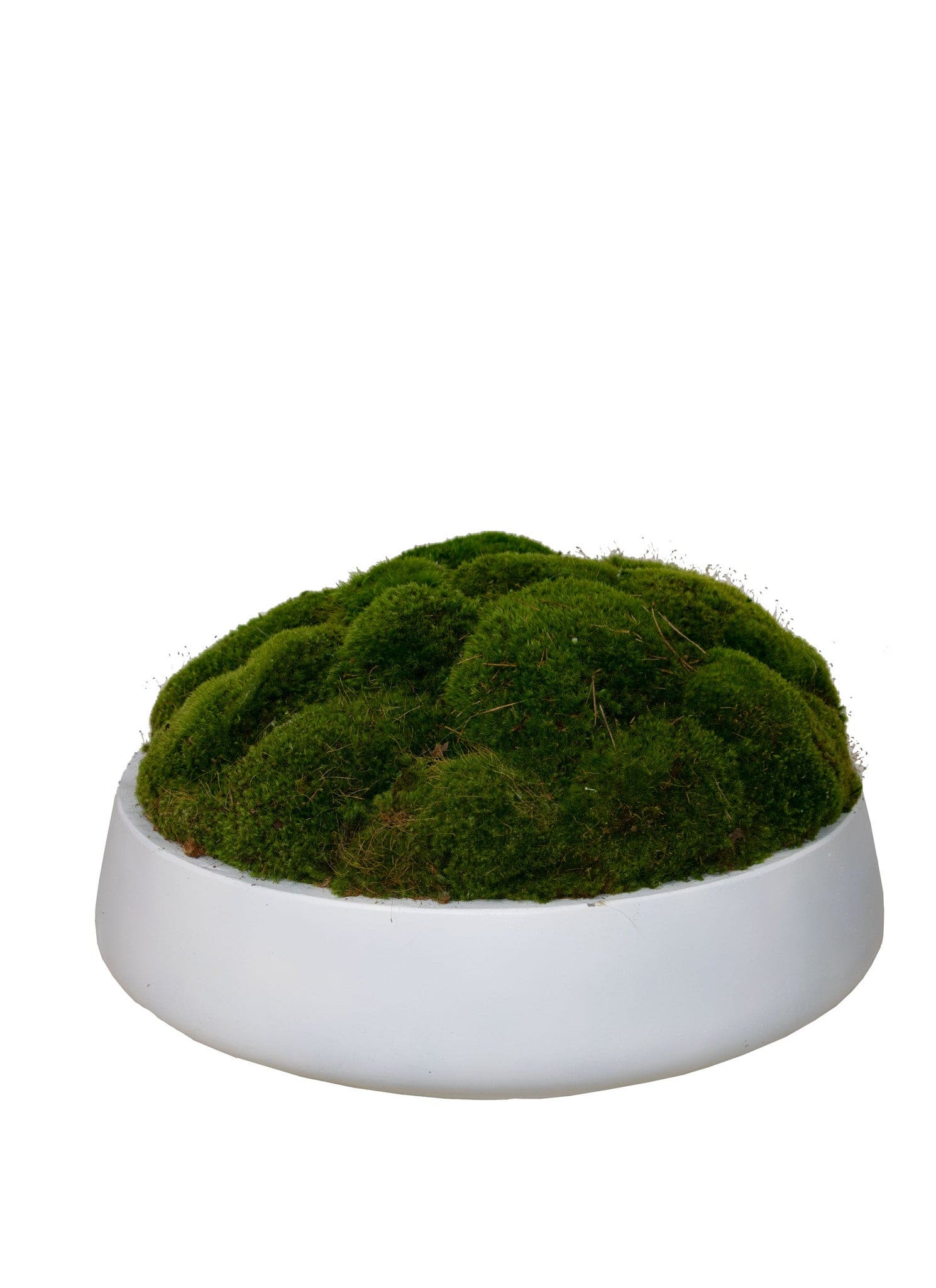 WH NEWPORT BOWL/ MOOD MOSS LG