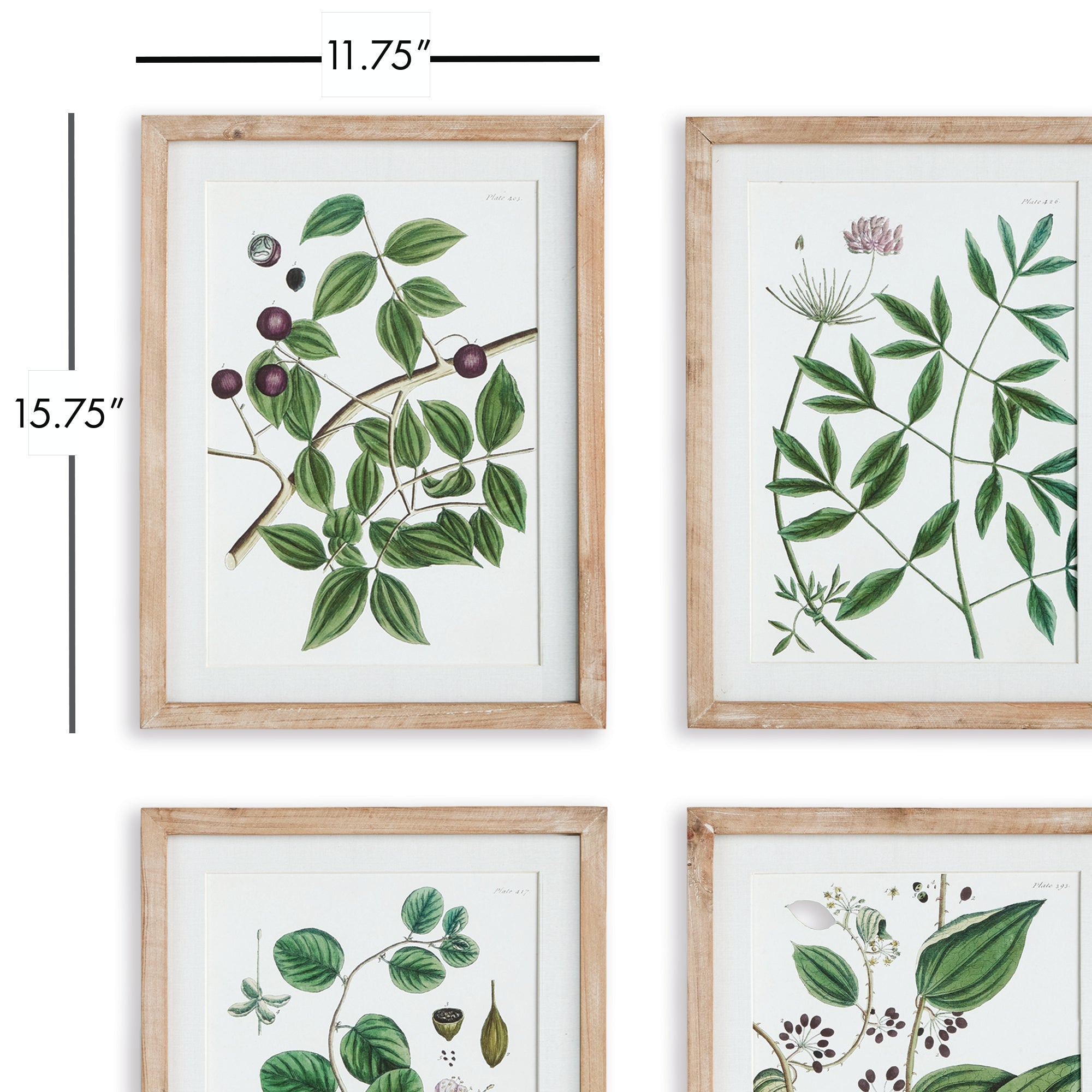 VERDANT BRANCH PRINTS, SET OF 4