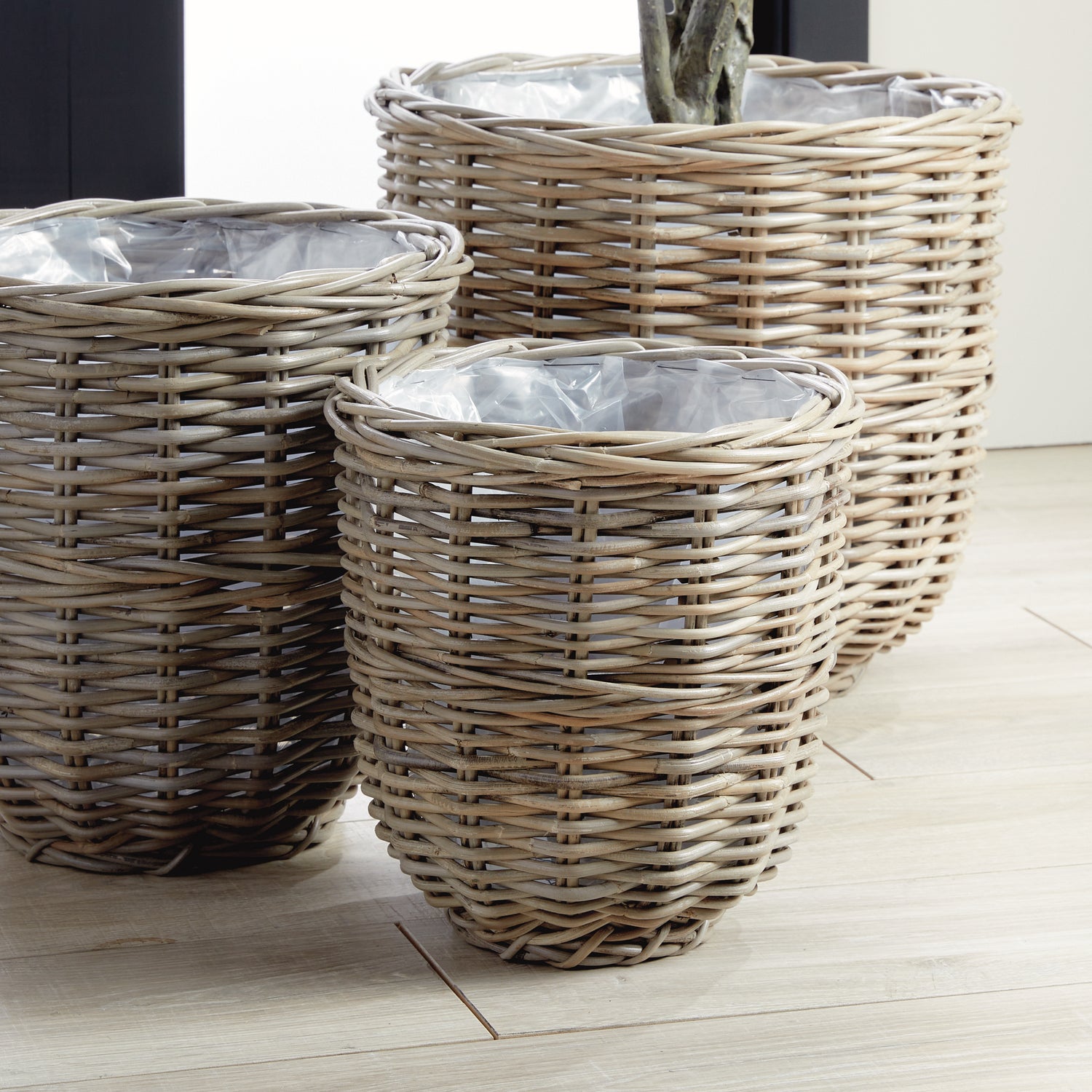 Arlette Basket Planters