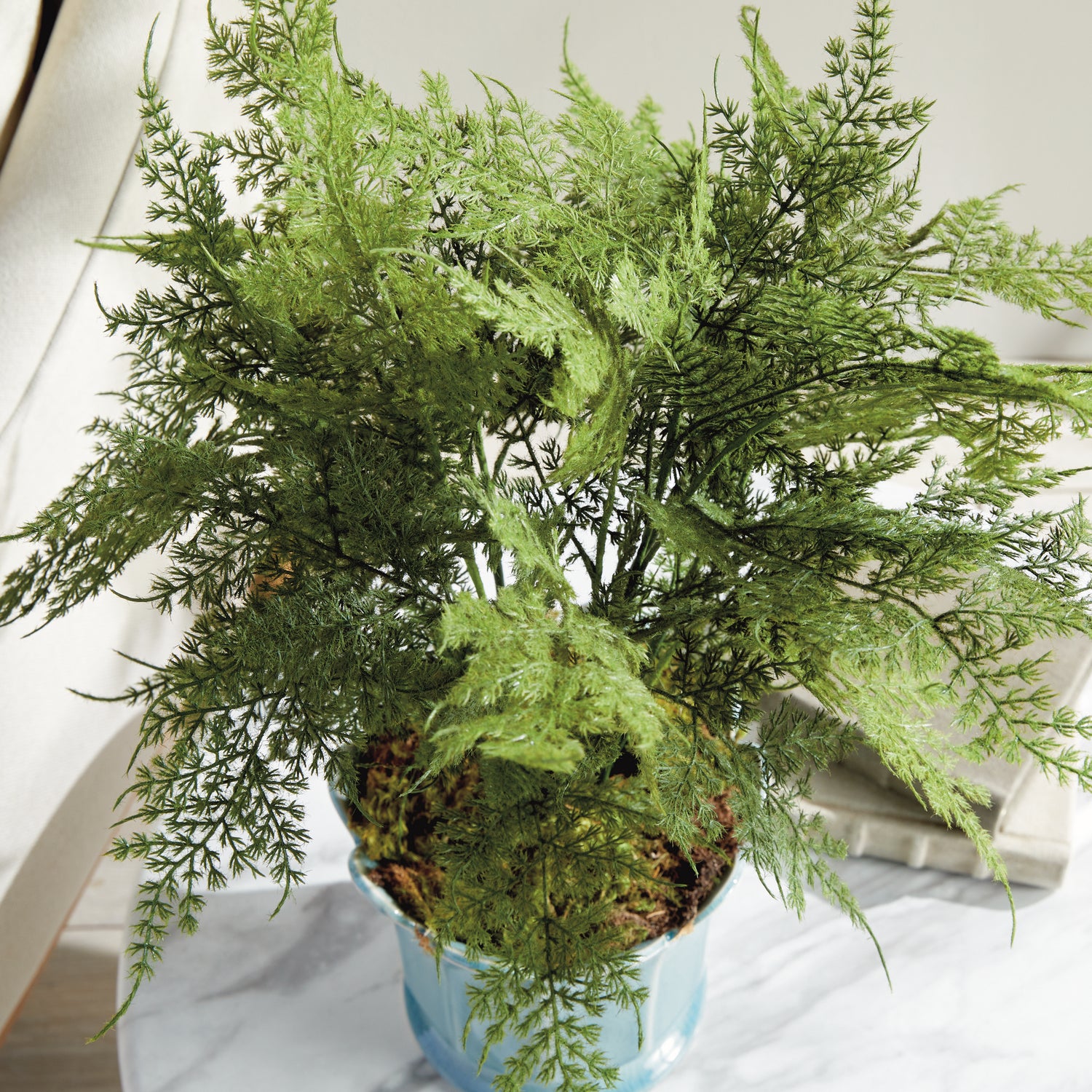 Plumosa Fern Drop-In 21"