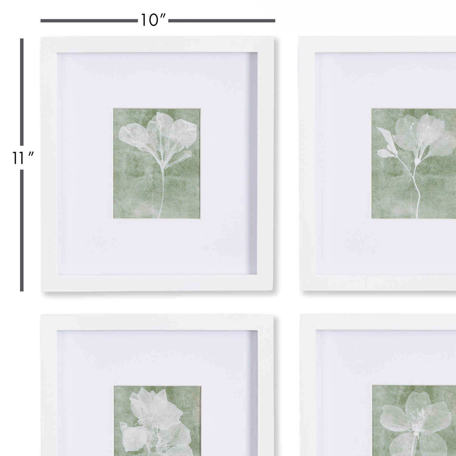 Translucent Floral Petite Prints, Set Of 4