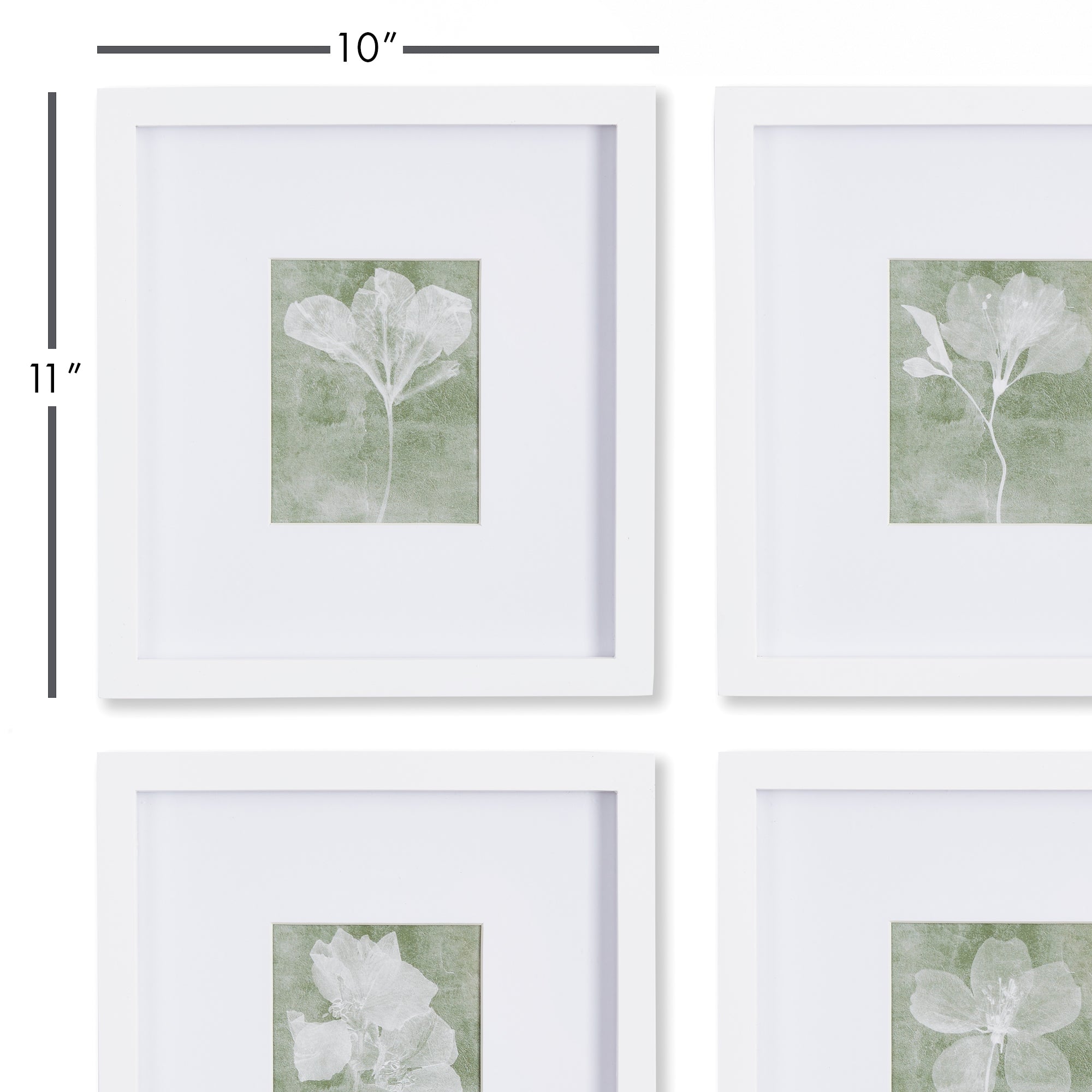 TRANSLUCENT FLORAL PETITE PRINTS, SET OF 4
