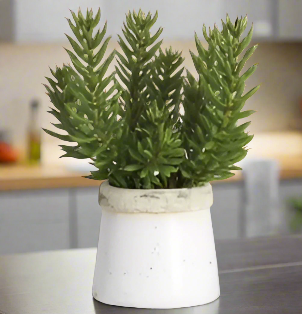 Lifelike Senecio Succulent in Stoneware Container | Elegant Home Decor