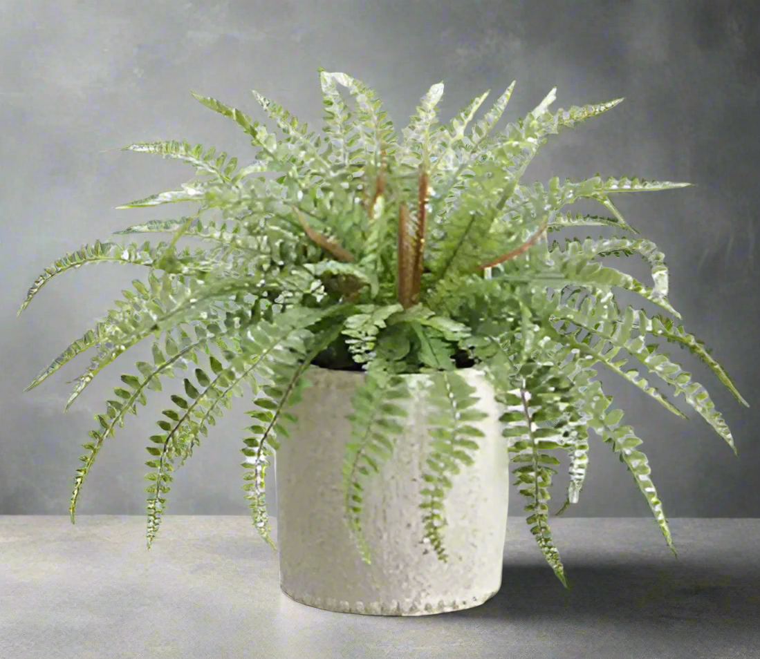 Lifelike Sword Fern in Cement Container | Modern Greenery Decor