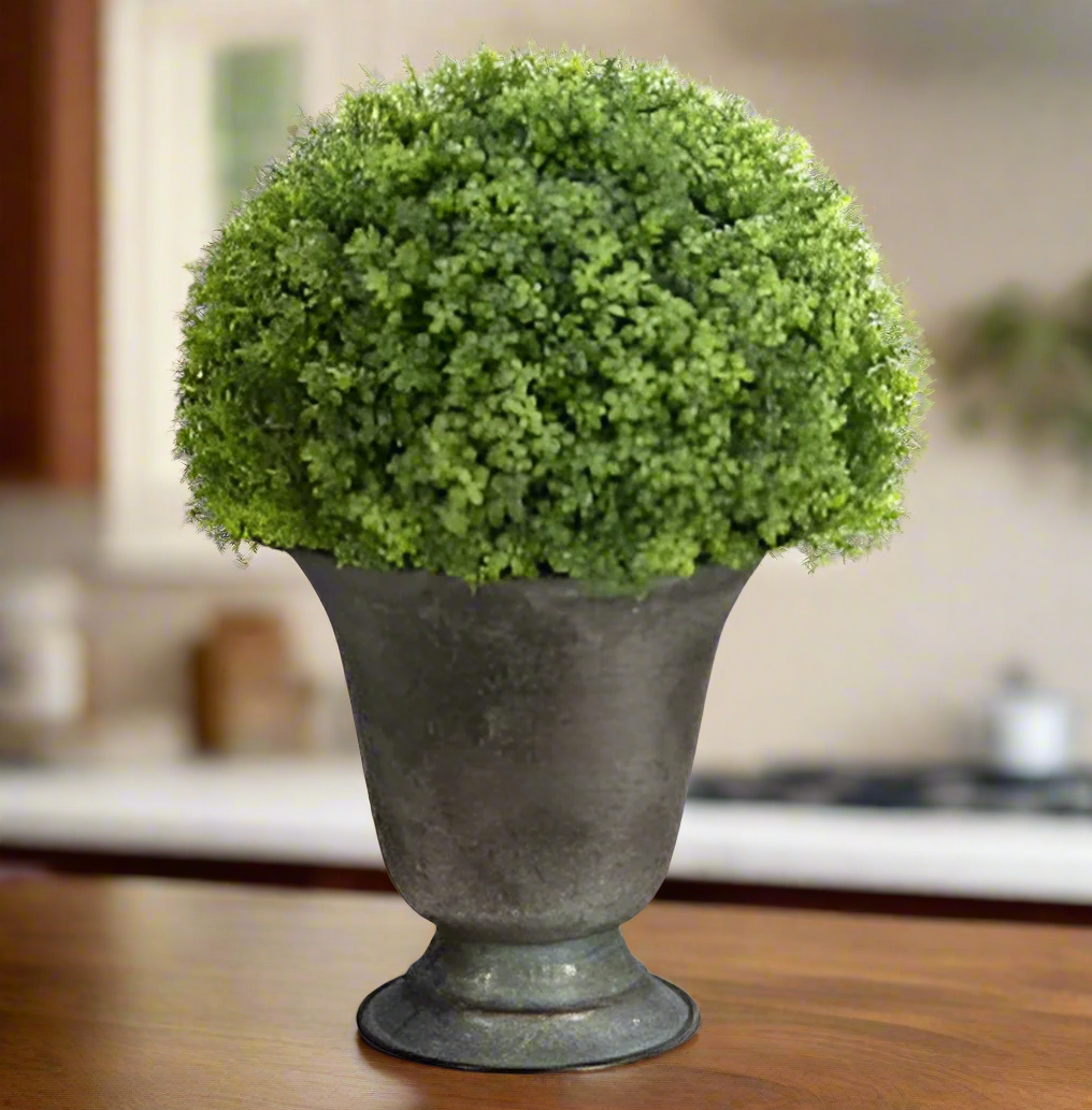 Elegant Baby Tear Ball Topiary in Metal Urn | Classic Greenery Decor