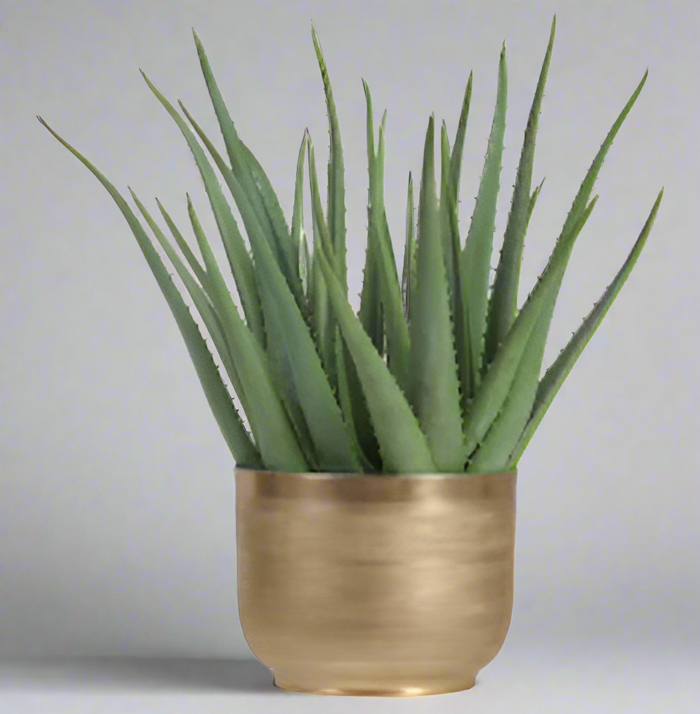 Modern Agave Plant in Gold Textured Metal Pot | Stylish Home Decor